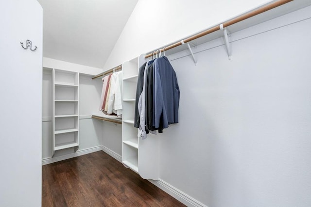 spacious closet with lofted ceiling and dark wood-type flooring