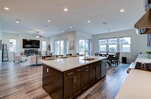 1048 Sawtooth Way S, Madera, CA 93636 - kitchen featuring a sink, under cabinet range hood, dark brown cabinets, wood finished floors, and light countertops