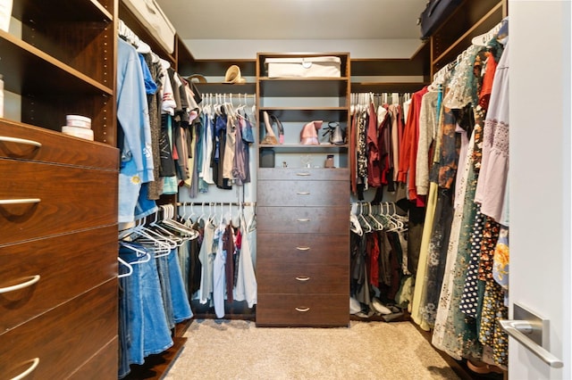 1048 Sawtooth Way S, Madera, CA 93636 - walk in closet with carpet flooring