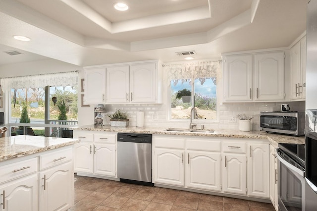 kitchen with visible vents, a sink, a tray ceiling, plenty of natural light, and stainless steel appliances