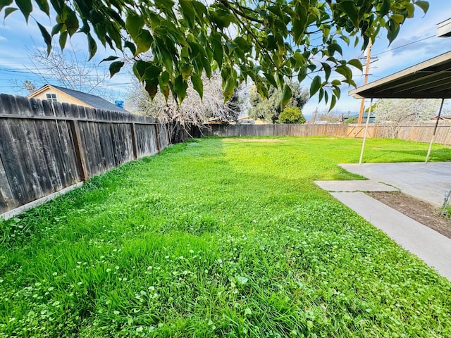 view of yard with a fenced backyard