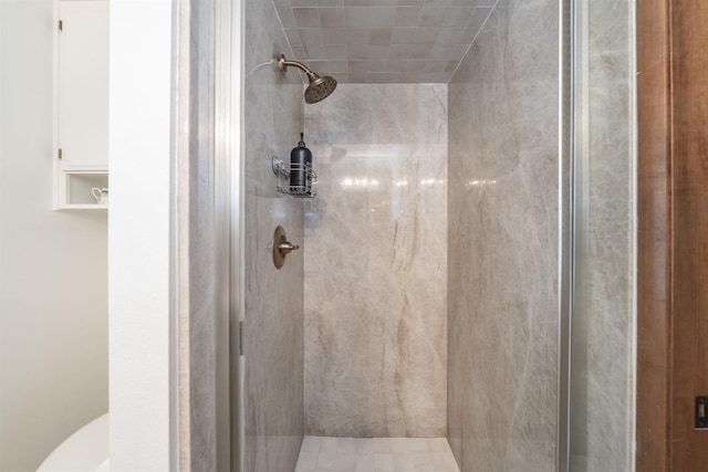 full bathroom featuring a shower stall