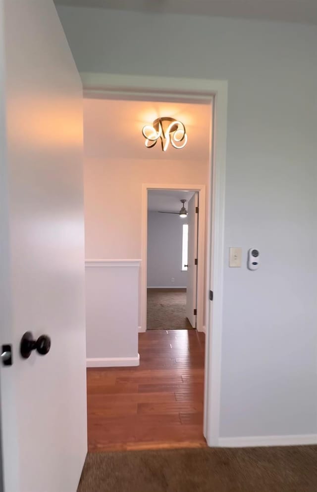 hallway featuring dark wood-type flooring, dark colored carpet, and baseboards