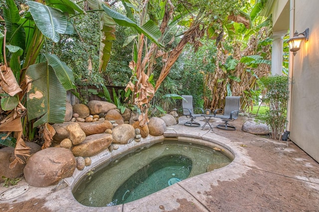 view of swimming pool with a patio area and an in ground hot tub