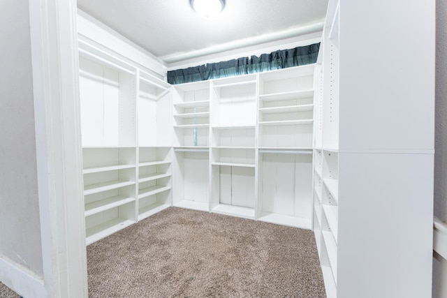 spacious closet featuring carpet floors