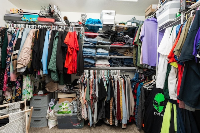 spacious closet featuring carpet floors