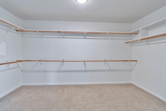 spacious closet with carpet floors