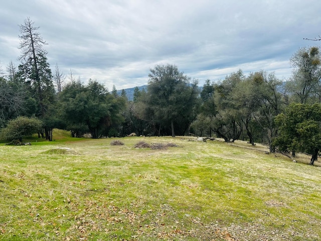 11 Tanglewood Ln, Oakhurst, CA 93644