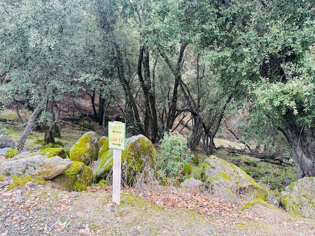 11 Tanglewood Ln, Oakhurst, CA 93644