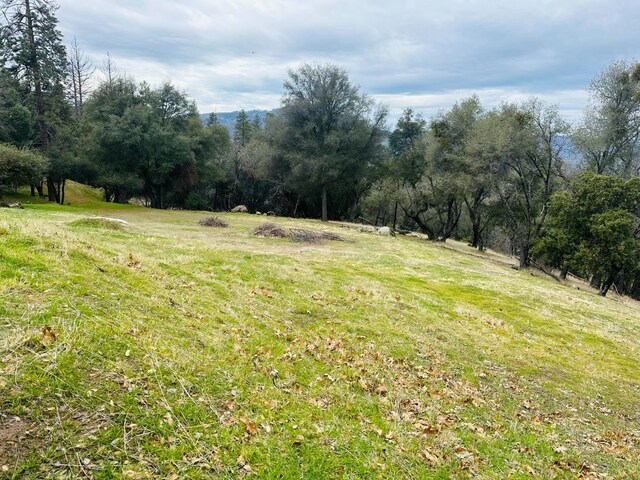 11 Tanglewood Ln, Oakhurst, CA 93644