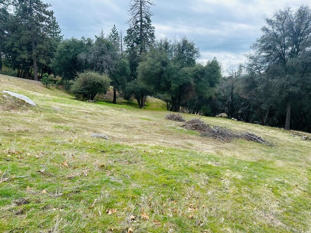 11 Tanglewood Ln, Oakhurst, CA 93644