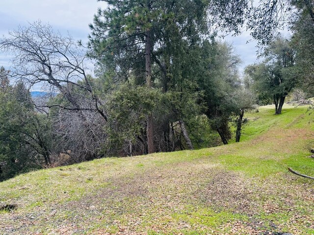 11 Tanglewood Ln, Oakhurst, CA 93644