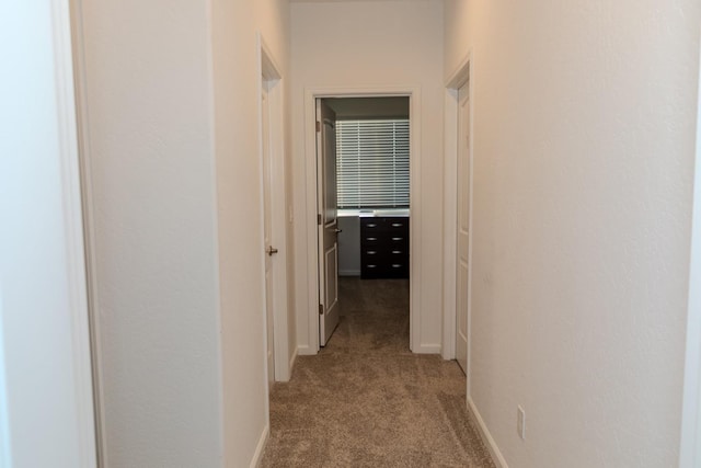 hallway with baseboards and light colored carpet