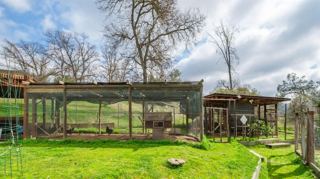 view of poultry coop with a yard