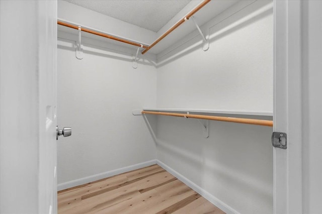 walk in closet with wood finished floors