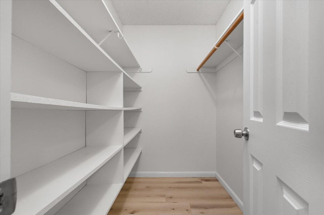 walk in closet with light wood-style flooring