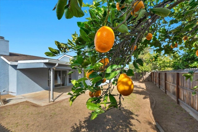 view of yard with a fenced backyard and a patio