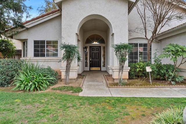 view of exterior entry featuring stucco siding and a yard