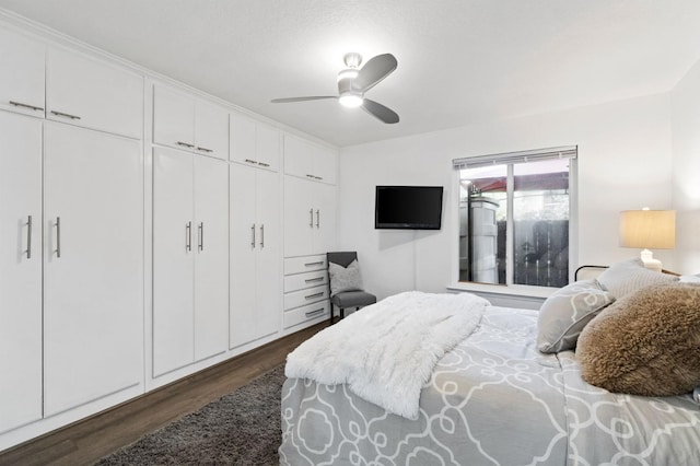 bedroom featuring ceiling fan, dark wood-type flooring, and a closet