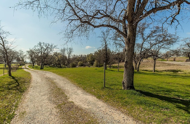 surrounding community featuring driveway and a lawn