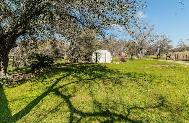 view of yard with a storage shed and an outdoor structure