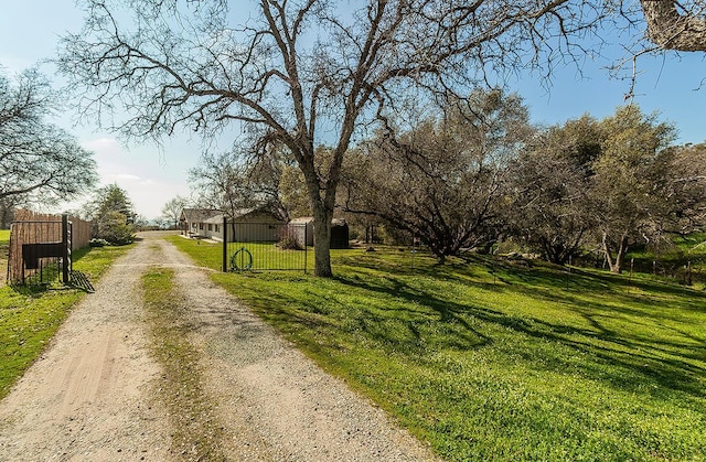 view of street with driveway