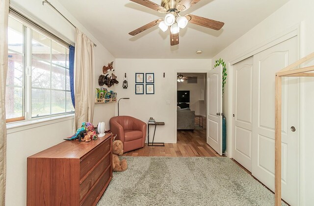 living area featuring wood finished floors and a ceiling fan