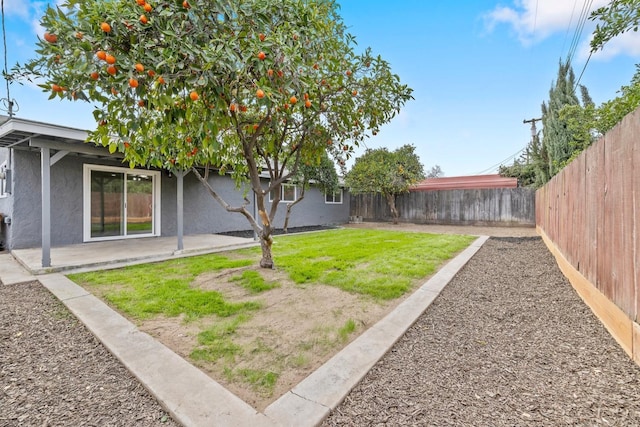 view of yard featuring a patio area and a fenced backyard