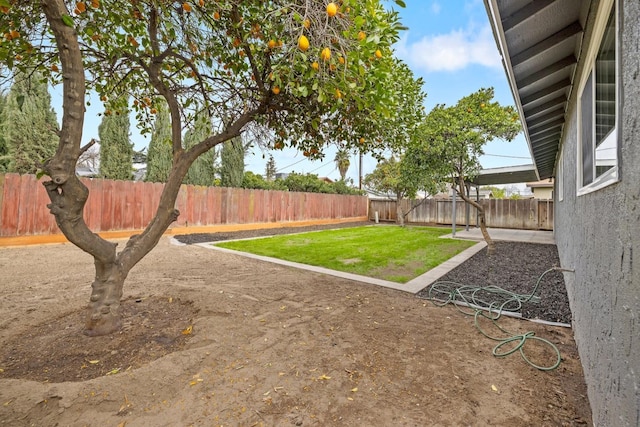 view of yard featuring a fenced backyard