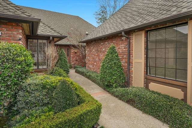 view of exterior entry featuring a shingled roof and brick siding