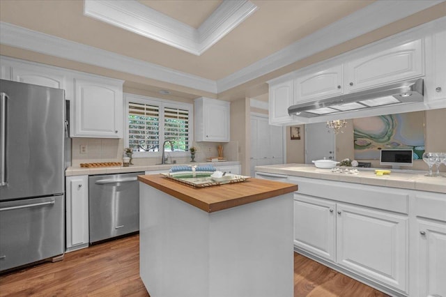 kitchen featuring stainless steel appliances, a tray ceiling, white cabinetry, and under cabinet range hood