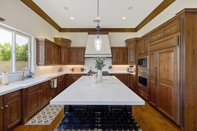 kitchen featuring built in appliances, a sink, decorative backsplash, dark wood-style floors, and custom range hood