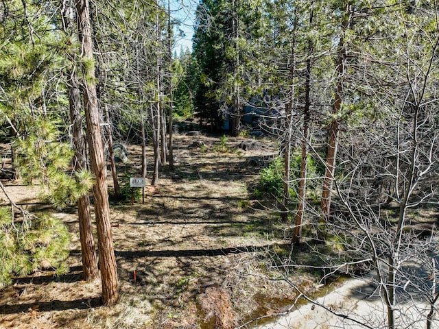 Listing photo 3 for 41923 Evergreen Rd, Shaver Lake CA 93664