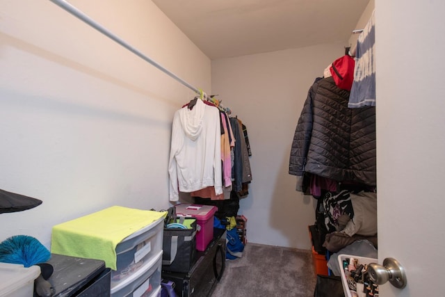 walk in closet with carpet