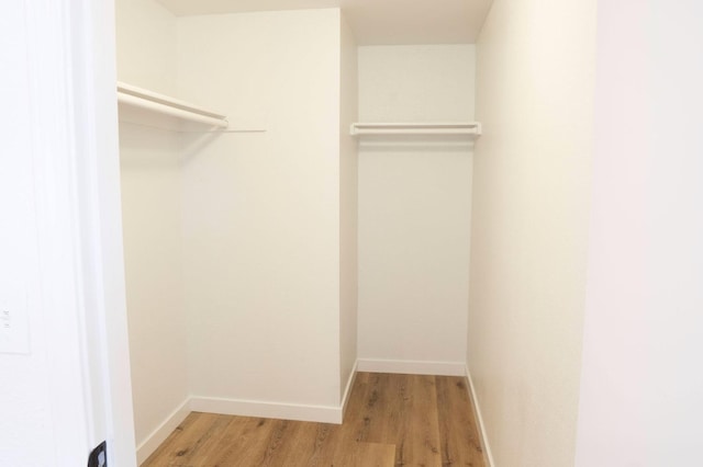 spacious closet featuring light wood-type flooring