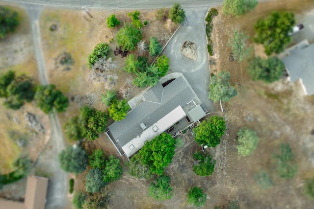 42906 Ranger Circle Dr Drive, Coarsegold, CA 93614 - aerial view