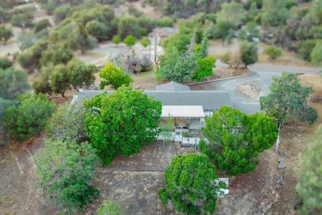 42906 Ranger Circle Dr Drive, Coarsegold, CA 93614 - birds eye view of property