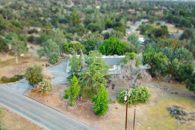 42906 Ranger Circle Dr Drive, Coarsegold, CA 93614 - aerial view