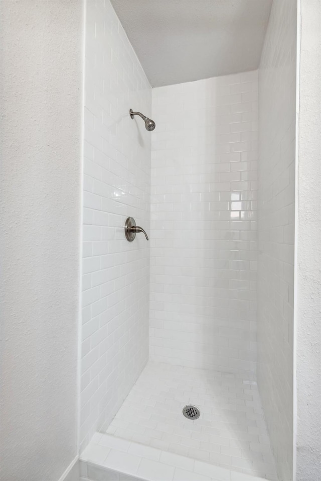 bathroom featuring a shower stall