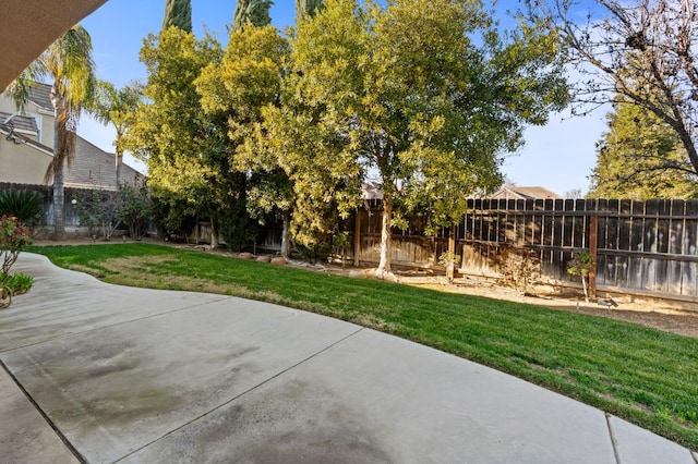 view of yard featuring a patio area and a fenced backyard