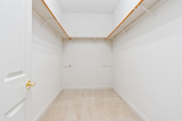 spacious closet featuring light carpet