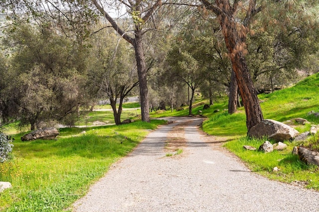 29598 Jim Bowie Ct, Coarsegold, CA 93614 - view of community featuring gravel driveway and a wooded view