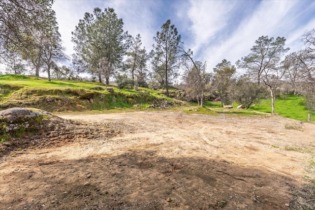 29598 Jim Bowie Ct, Coarsegold, CA 93614 - view of yard