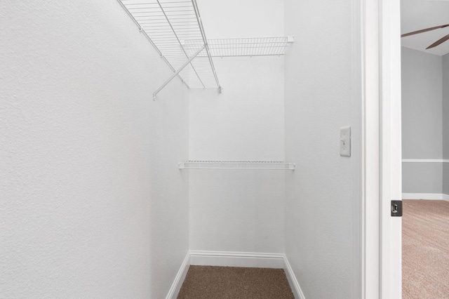 walk in closet featuring carpet