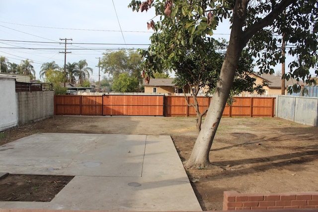 view of yard with a patio area and a fenced backyard