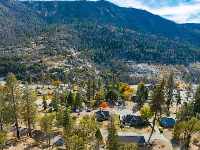 55142 Huntington Lake Rd, Big Creek, CA 93605 - photo 8