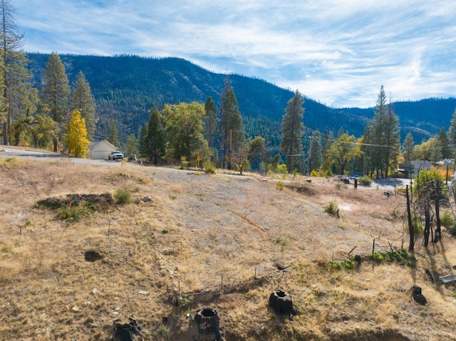 55142 Huntington Lake Rd, Big Creek CA, 93605 land for sale