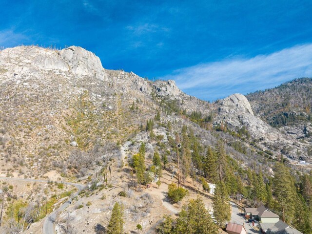 55142 Huntington Lake Rd, Big Creek, CA 93605 - photo 5