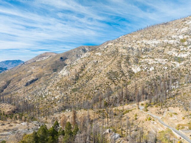 55142 Huntington Lake Rd, Big Creek, CA 93605 - photo 11