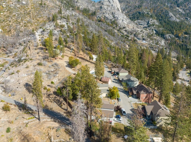 55142 Huntington Lake Rd, Big Creek, CA 93605 - photo 9